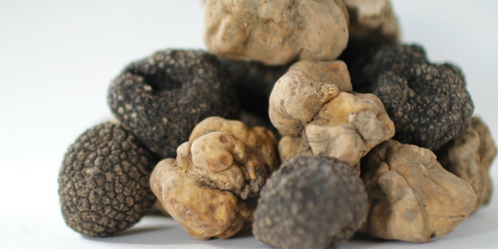 What is Truffle Mushroom? How to use? Benefits, Harms