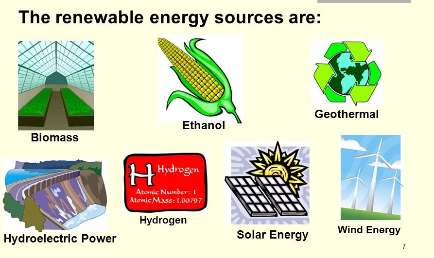 What are Vegetable Energy Sources?